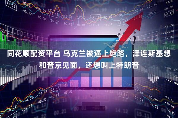 同花顺配资平台 乌克兰被逼上绝路,泽连斯基想和普京见面,还想叫上特朗普