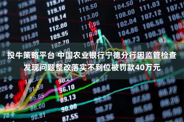 投牛策略平台 中国农业银行宁德分行因监管检查发现问题整改落实不到位被罚款40万元